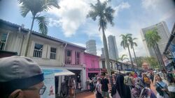 Kampong Glam Conservation Area (D7), Shop House #458160901